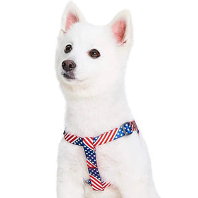 Blueberry Pet - American Flag Dog Harness