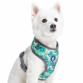 Blueberry Pet - Bahamas Vacation Dog Harness Vest