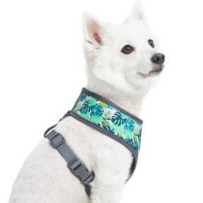 Blueberry Pet - Bahamas Vacation Dog Harness Vest