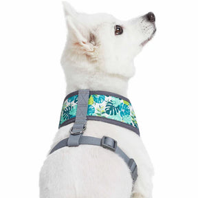 Blueberry Pet - Bahamas Vacation Dog Harness Vest