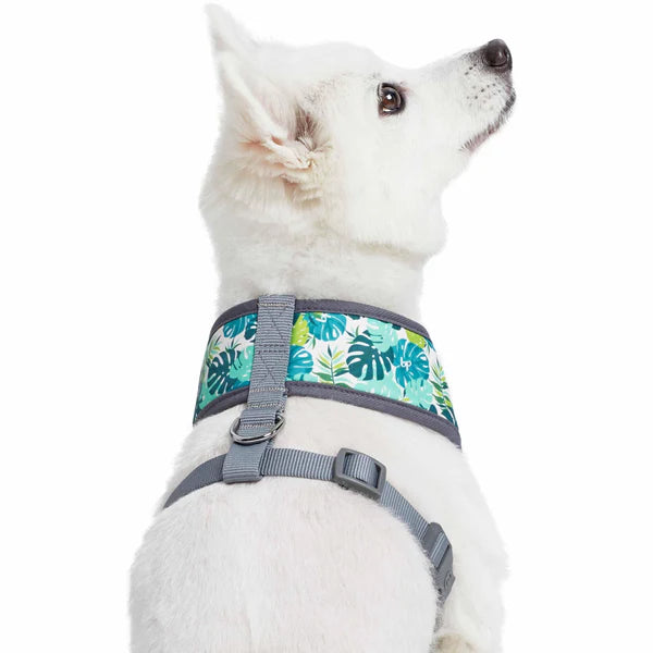 Blueberry Pet - Bahamas Vacation Dog Harness Vest