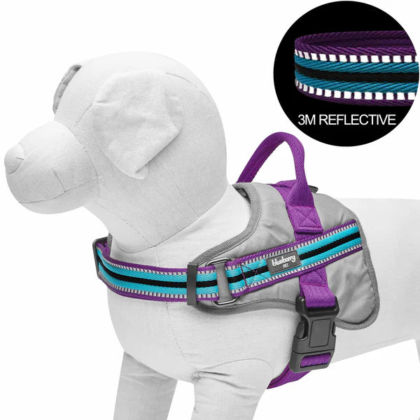 Blueberry Pet - Violet and Celeste | Service K-9, 3M Reflective Dog Harness