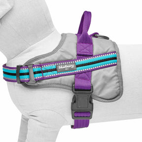 Blueberry Pet - Violet and Celeste | Service K-9, 3M Reflective Dog Harness