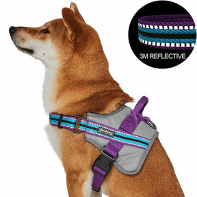 Blueberry Pet - Violet and Celeste | Service K-9, 3M Reflective Dog Harness