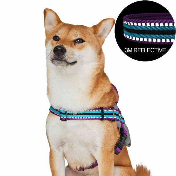 Blueberry Pet - Violet and Celeste | Service K-9, 3M Reflective Dog Harness