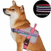 Blueberry Pet - Pink, Emerald and Orchid | Service K-9, 3M Reflective Dog Harness - Southern Agriculture 