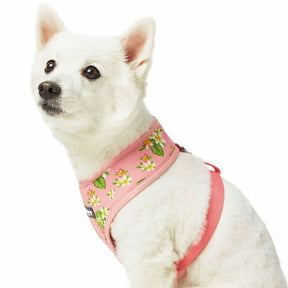 Blueberry Pet - Baby Pink | Tropical Yellow Plumeria Flower Dog Harness Vest