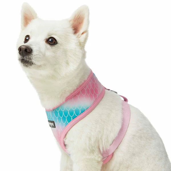 Blueberry Pet - Mermaid Scales | Enchanting Sea Dog Harness Vest