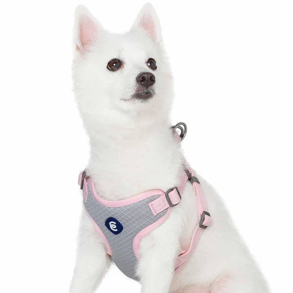 Blueberry Pet - Candy Pink | Better Basics Reflective Dog Harness Vest