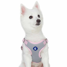 Blueberry Pet - Candy Pink | Better Basics Reflective Dog Harness Vest