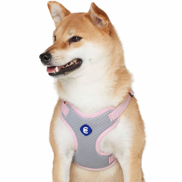 Blueberry Pet - Candy Pink | Better Basics Reflective Dog Harness Vest