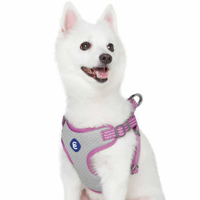 Blueberry Pet - Mauve Orchid | Better Basics Reflective Dog Harness Vest