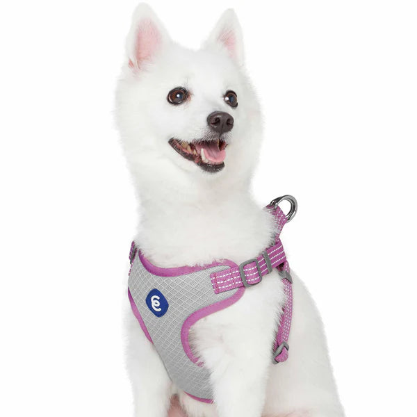Blueberry Pet - Mauve Orchid | Better Basics Reflective Dog Harness Vest