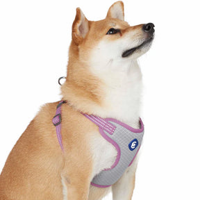 Blueberry Pet - Mauve Orchid | Better Basics Reflective Dog Harness Vest