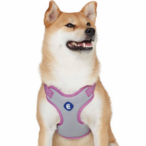 Blueberry Pet - Mauve Orchid | Better Basics Reflective Dog Harness Vest