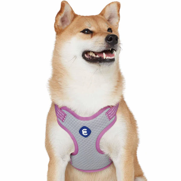 Blueberry Pet - Mauve Orchid | Better Basics Reflective Dog Harness Vest