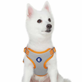 Blueberry Pet - Apricot | Better Basics Reflective Dog Harness Vest