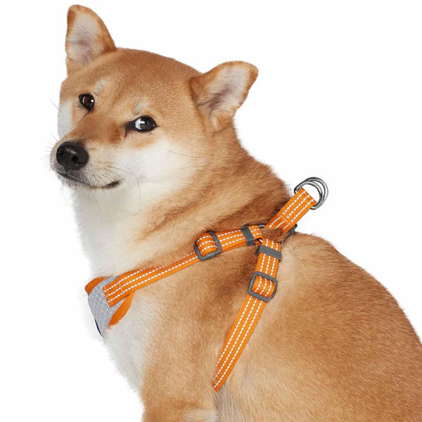 Blueberry Pet - Apricot | Better Basics Reflective Dog Harness Vest