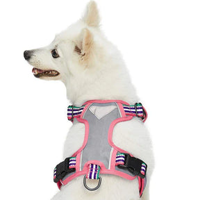 Blueberry Pet - Pink, Emerald and Orchid | No Pull 3M Reflective Dog Harness Vest with Handle