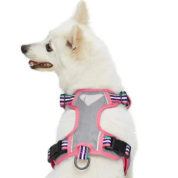 Blueberry Pet - Pink, Emerald and Orchid | No Pull 3M Reflective Dog Harness Vest with Handle