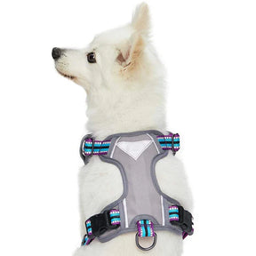 Blueberry Pet - Violet and Celeste | No Pull 3M Reflective Dog Harness Vest with Handle