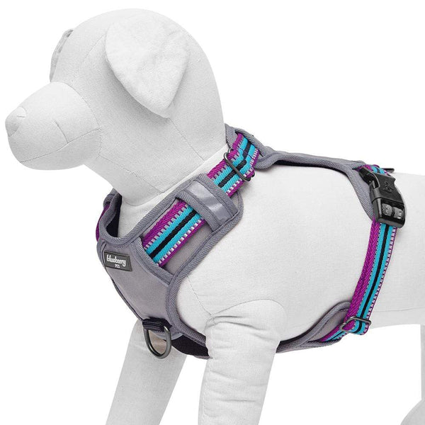 Blueberry Pet - Violet and Celeste | No Pull 3M Reflective Dog Harness Vest with Handle