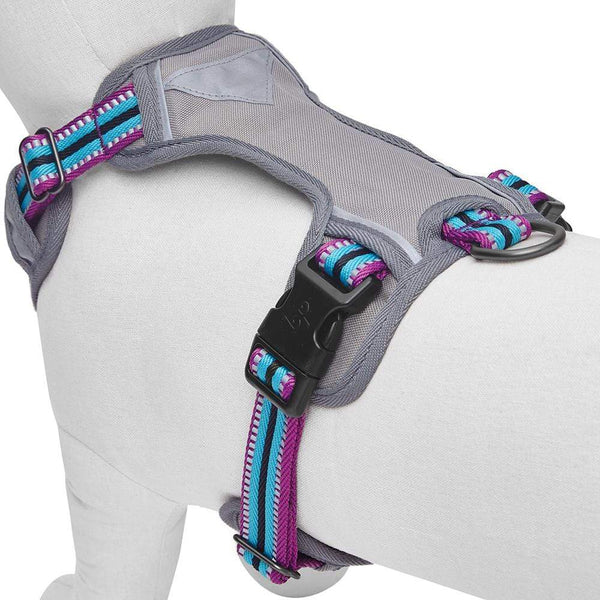 Blueberry Pet - Violet and Celeste | No Pull 3M Reflective Dog Harness Vest with Handle