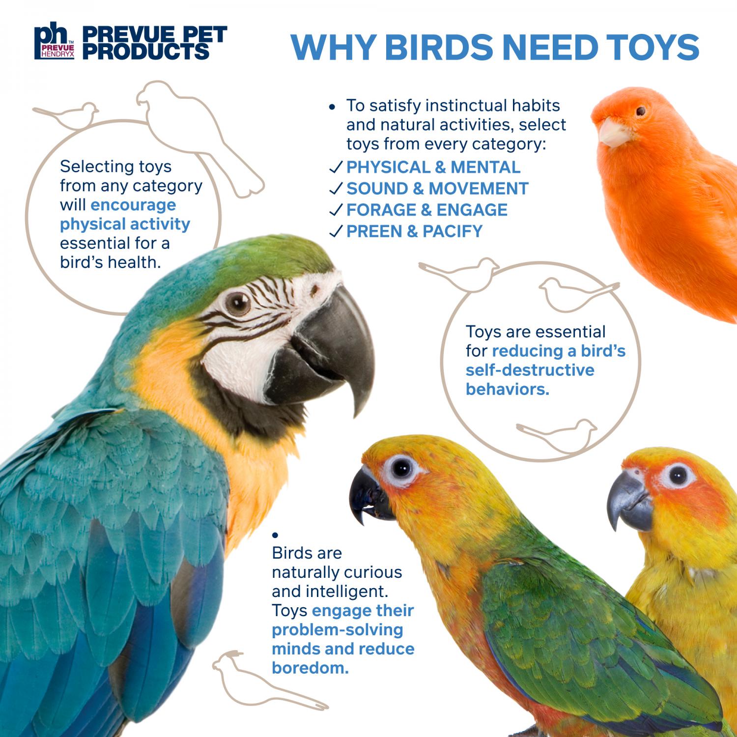 Prevue Hendryx - Lava Cubes & Spheres Cage Bird Toy
