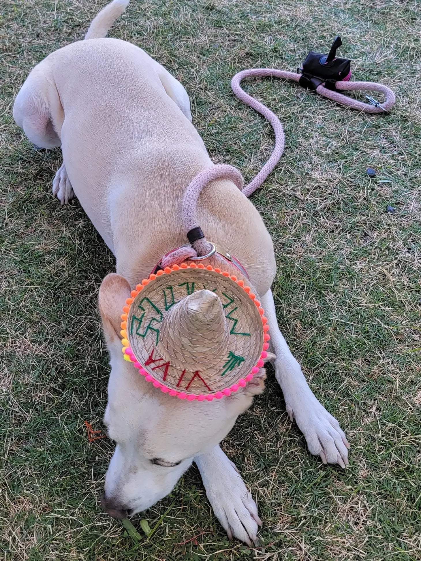 Mom and Pup Co. - Mini Palm Hat (Sombro)
