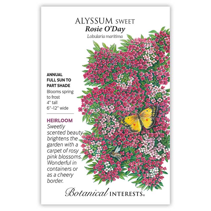 Botanical Interests, Inc. - Alyssum Sweet Rosie O'Day Seeds