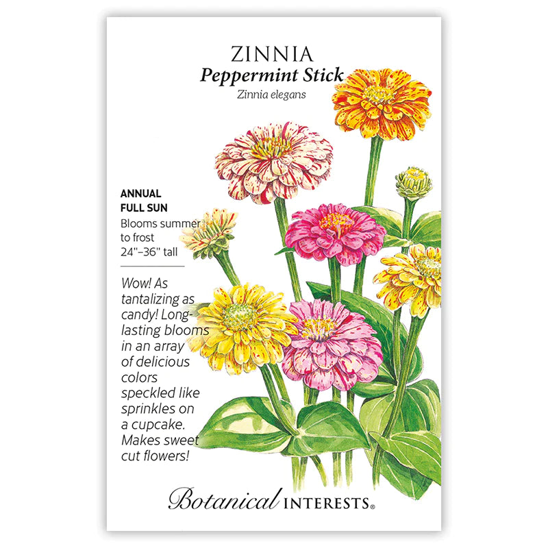 Botanical Interests, Inc. - Zinnia Peppermint Stick Seeds
