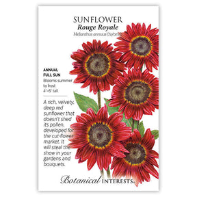 Botanical Interests, Inc. - Rouge Royale Sunflower Seeds