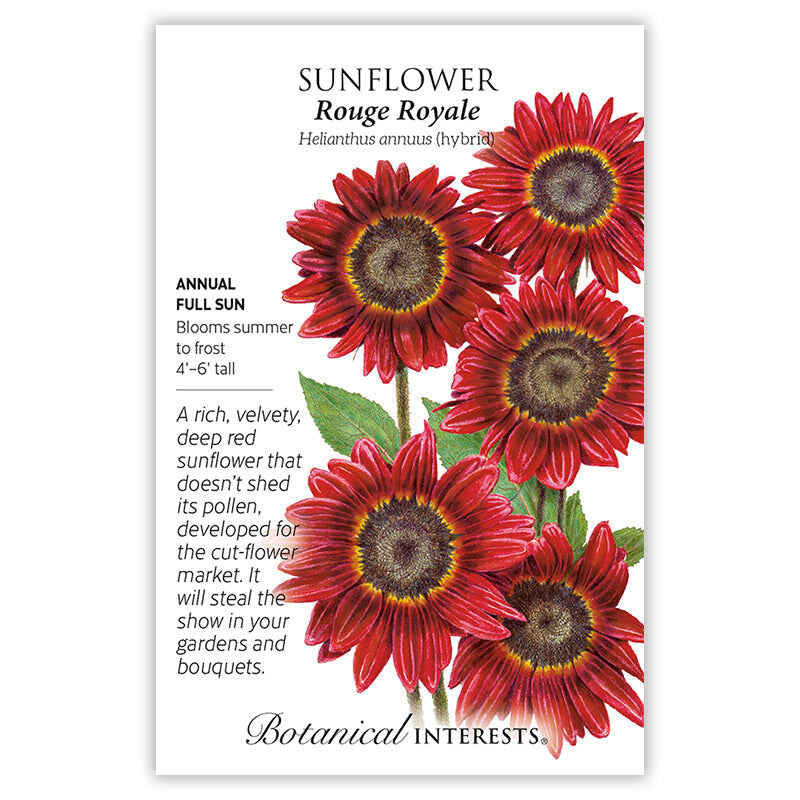 Botanical Interests, Inc. - Rouge Royale Sunflower Seeds