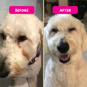 PetEyez - Vitamin Treats Chicken For Dogs - Eliminate Tear Stains