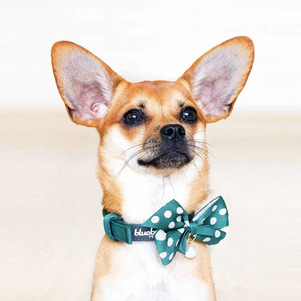 Blueberry Pet - Green | The Most Coveted Dog Collar with Bowtie & Pearl