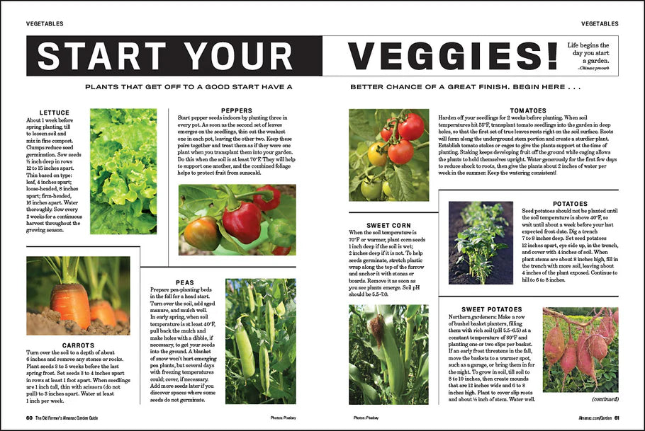 Old Farmer's Almanac Garden Guide 2026