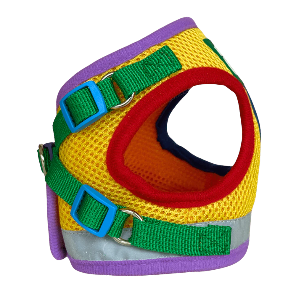 Travel Cat - Harness & Leash Set - "The Rainbow"
