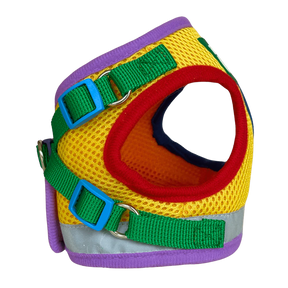 Travel Cat - Harness & Leash Set - "The Rainbow"