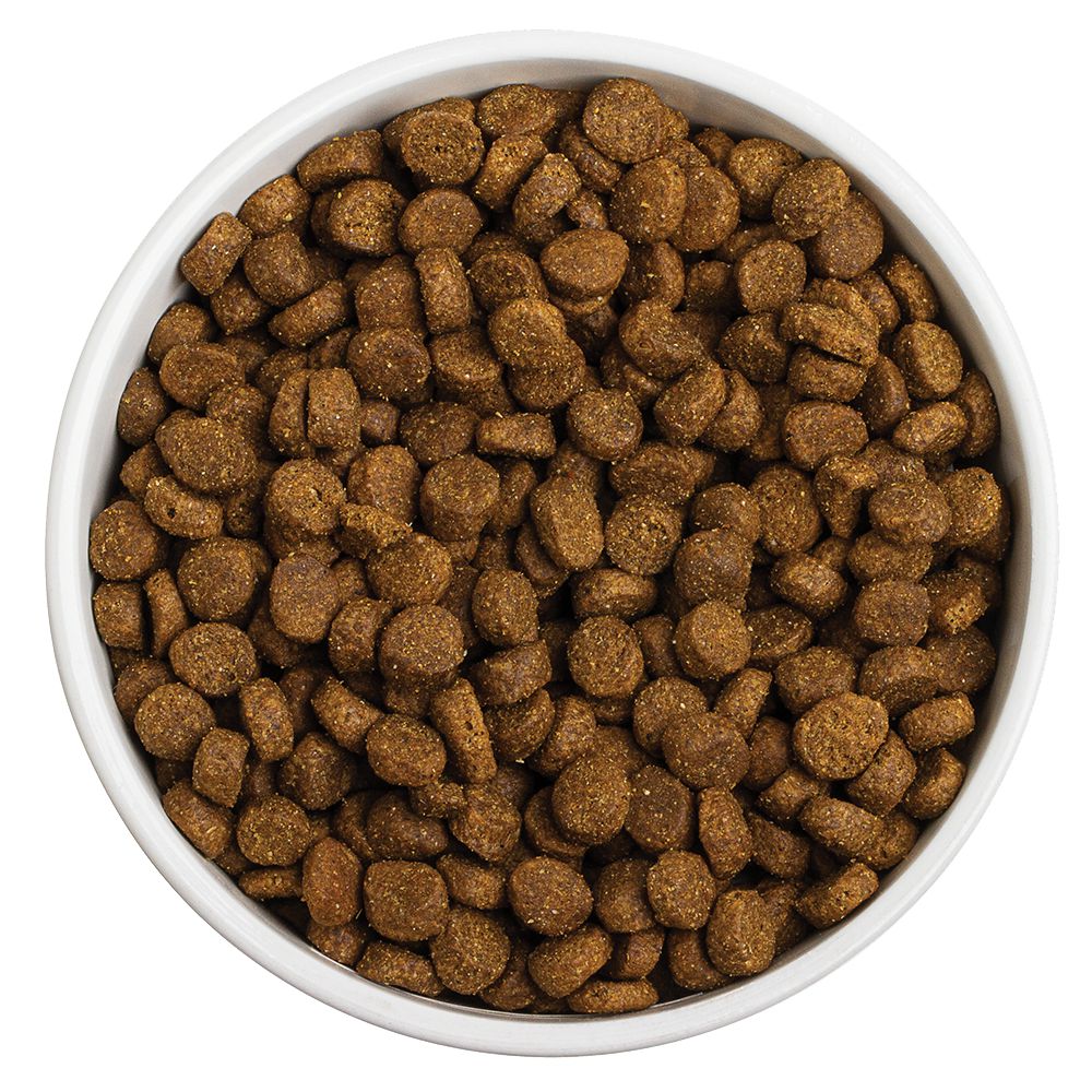 RedBarn - Grain Free Puppy Dog Food Dry