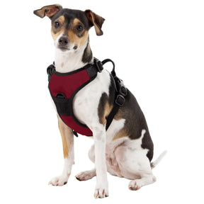 Little Earth Productions - Oklahoma Sooners Front Clip Harness