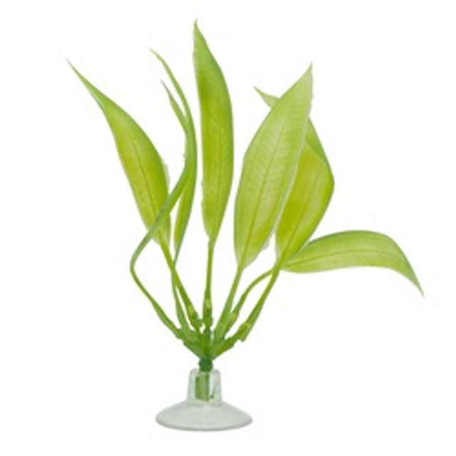 Hagen Pet Products - Betta Plant Amazon Sword