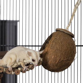 Prevue Hendryx - Climb & Hide Coco Cave With Wood Stick Ladder