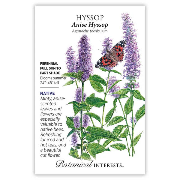 Botanical Interests, Inc. - Hyssop Anise Seeds - Southern Agriculture 