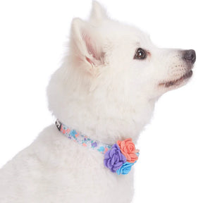Blueberry Pet - Lavender | Made Well Floral Dog Collar