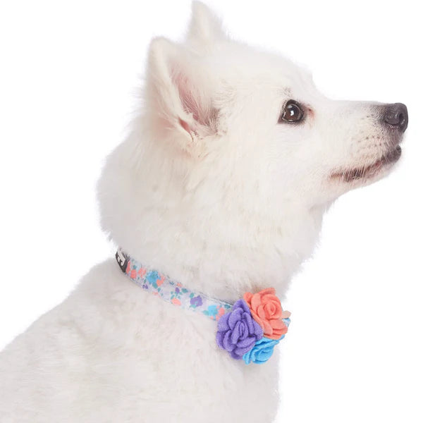 Blueberry Pet - Lavender | Made Well Floral Dog Collar