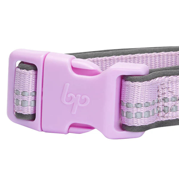 Blueberry Pet - Lavender | 3M Reflective Padded Dog Collar
