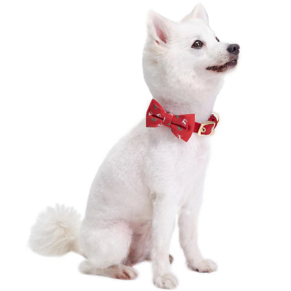 Blueberry Pet - Reindeer | Luxurious Christmas Festival Dog Collar