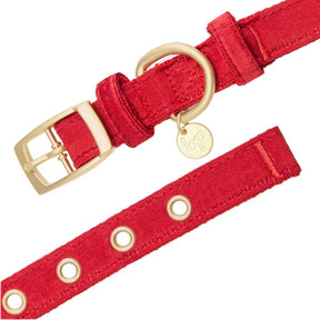 Blueberry Pet - Reindeer | Luxurious Christmas Festival Dog Collar