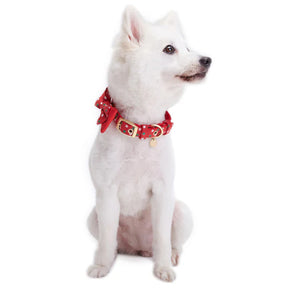 Blueberry Pet - Polka Dot | Luxurious Christmas Festival Dog Collar