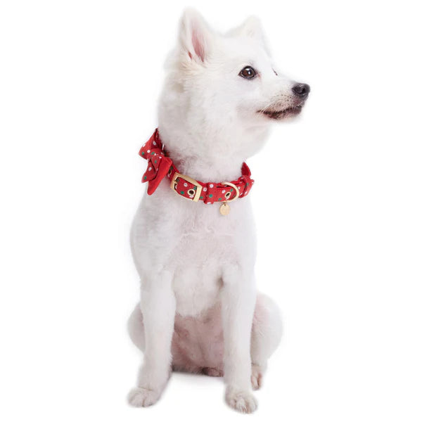 Blueberry Pet - Polka Dot | Luxurious Christmas Festival Dog Collar
